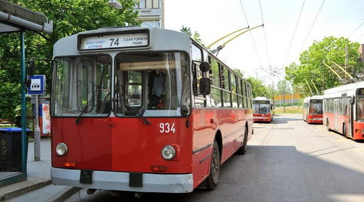 A vezető azonnal szívmasszázst alkalmazott a férfin (Képünk illusztráció!) /Fotó: MTI - Máthé Zoltán