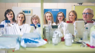 Kulawizna psuje mleko. Nowy środek dla ochrony racic i kończyn bydła