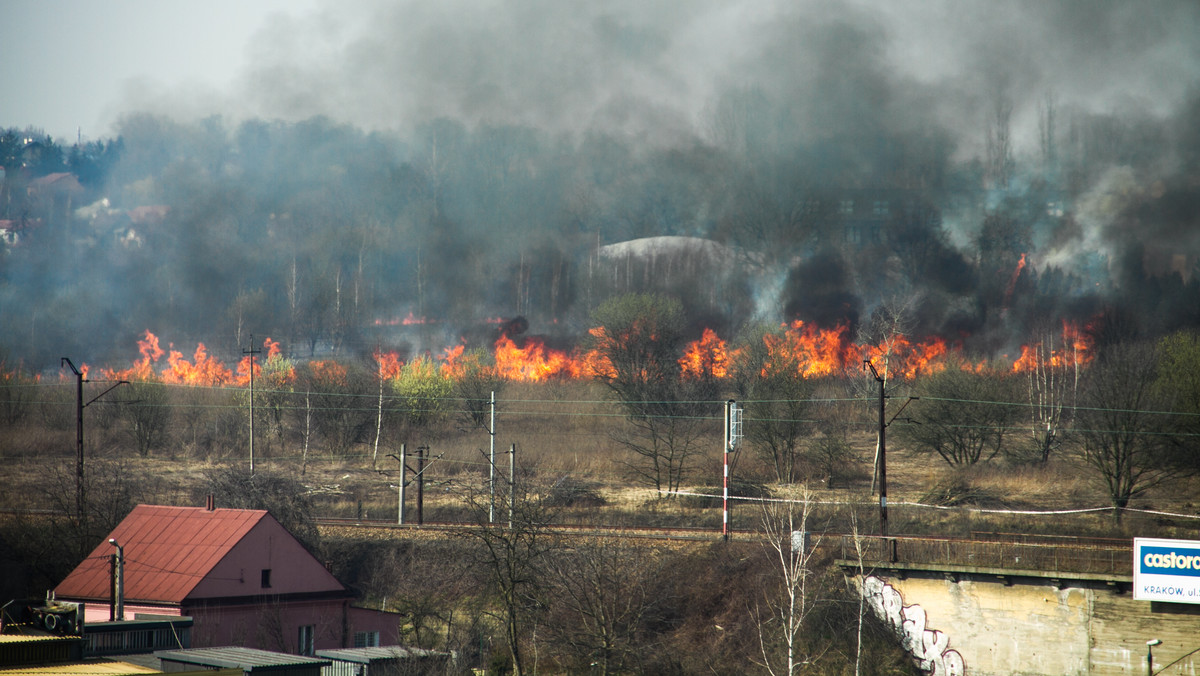 Pożar traw na Bornowicach w Krakowie