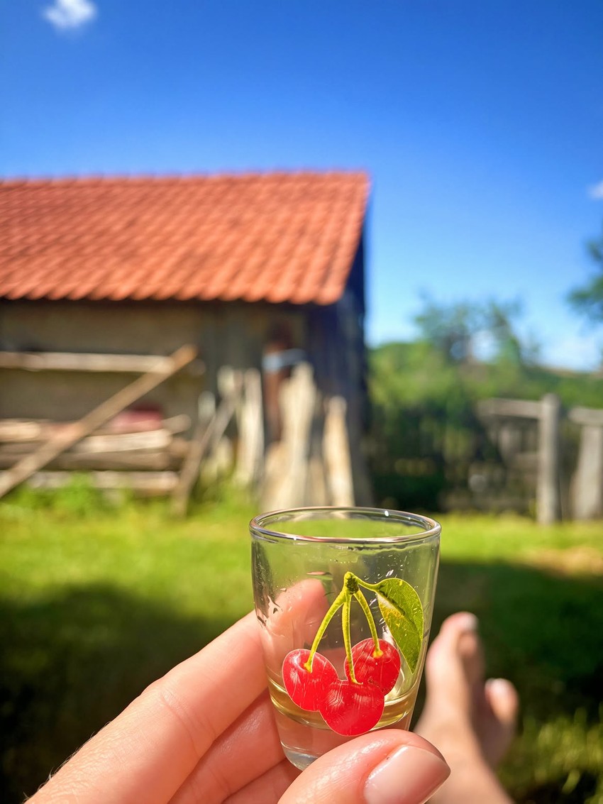 Tamara Dragić