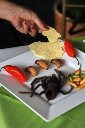 VENEZUELA - GASTRONOMY - MENDEZ - SPIDER