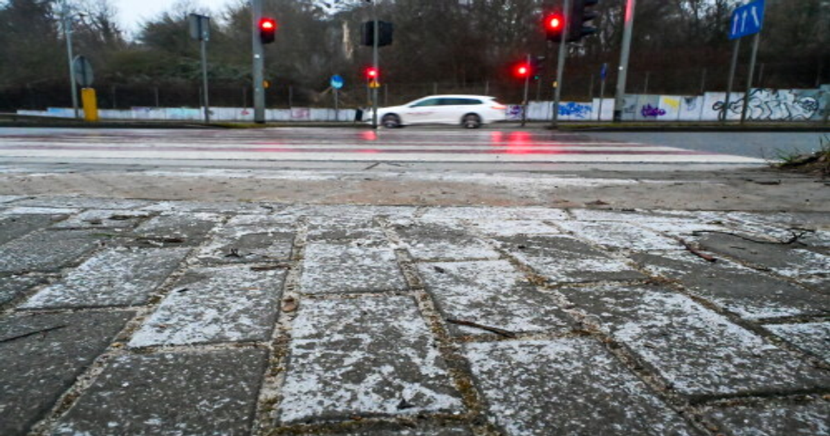 Alarmy-IMGW-dla-14-wojew-dztw-Silny-wiatr-do-80-km-h