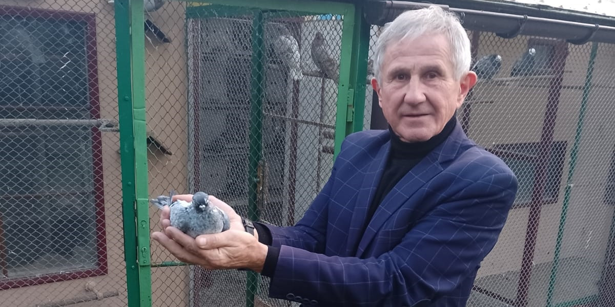 Edward Krychowiak, tata Grzegorza, to czołowy w Europie hodowca gołębi ozdobnych 