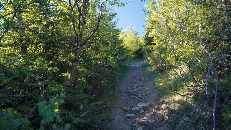 Beskid Żywiecki