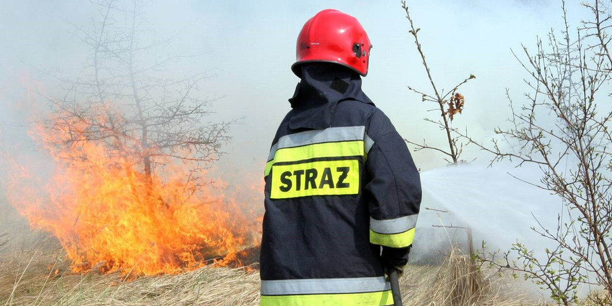 pożar pole traw trawy