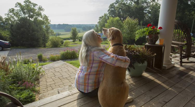 Így hat a kutya az egészségünkre Fotó: Getty Images