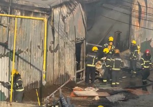 Vatrogasci u akciji u Malom Mokrom Lugu.jpg