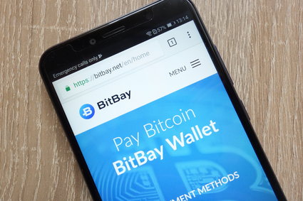 BitBay i Neufund zaczynają współpracę. Ułatwią inwestorom i firmom wejście w świat tokenów
