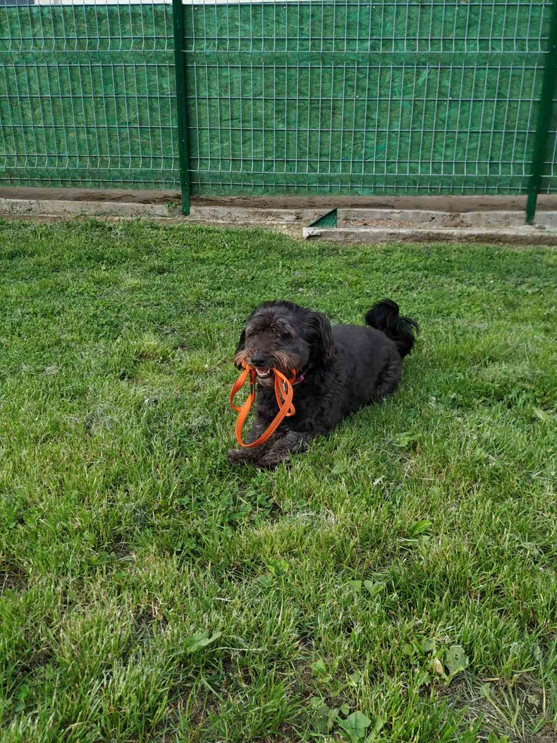 Bubica sa svojim omiljenim rekvizitom