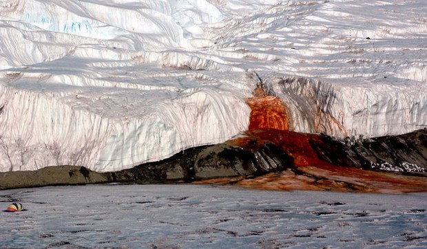 606499_antaktik--peter-rejcek