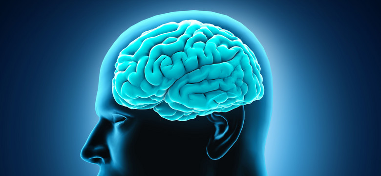 Otyłość szkodzi na mózg. Jak bardzo?