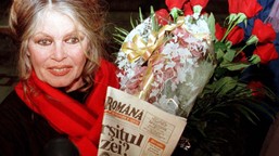 brigitte bardot nie żyje. "oddałam mężczyznom urodę i młodość. oddam mądrość zwierzętom"