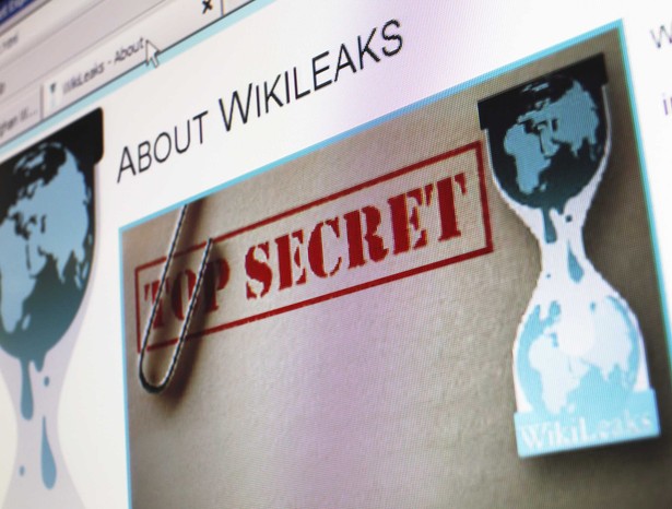 Portal Wikileaks, publikujący obecnie poufne dokumenty dyplomacji amerykańskiej, znajduje naśladowców. W tym tygodniu byli współpracownicy Wikileaks zamierzają uruchomić portal Openleaks. Zapowiedziano też powstanie innych demaskatorskich portali.