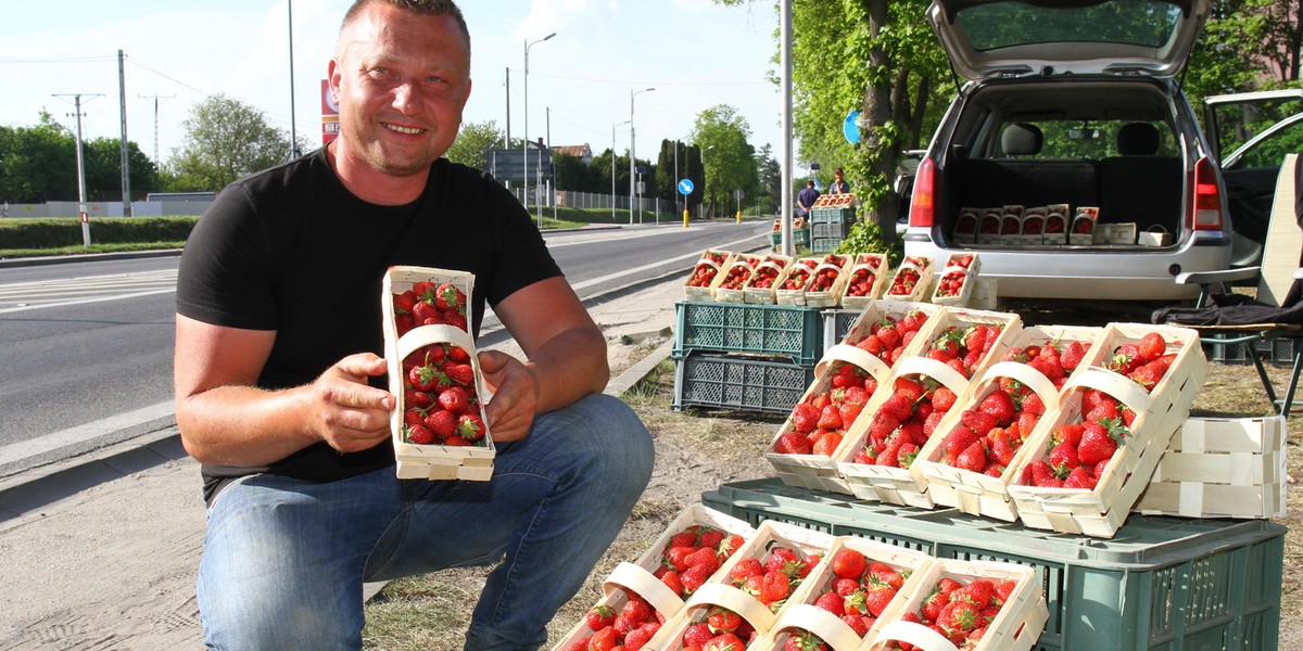 Można już kupić polskie truskawki