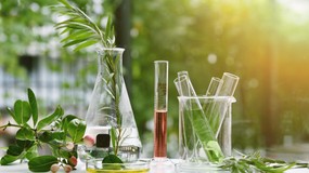 Wyjątkowo trudny quiz z biologii. Tylko prawdziwy mistrz zdobędzie 10/10!