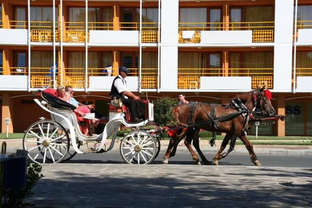 Galeria Bułgaria - Słoneczny Brzeg, obrazek 12