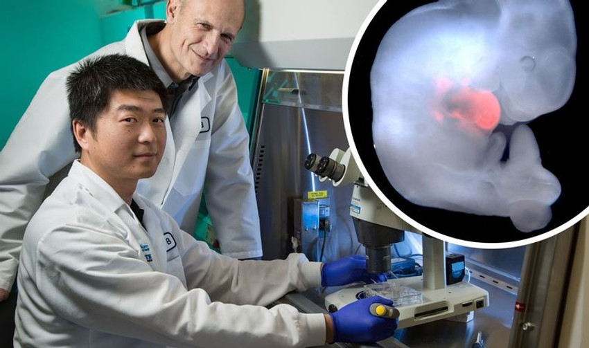 Vu i Belmonte na Institutu Salk