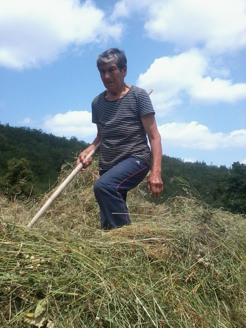 Vješta sa grabuljama: Đurđa Perović na vrhu stoga