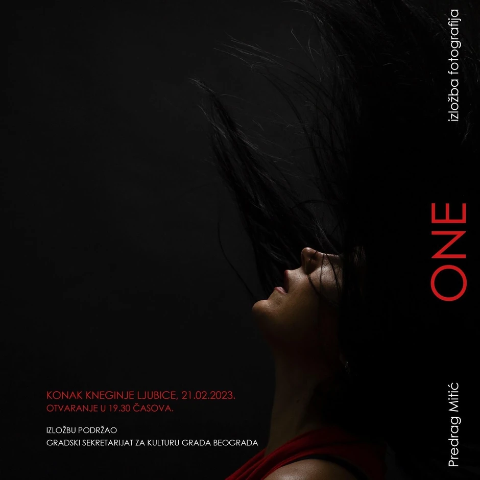 Predrag Mitić izložba plakat