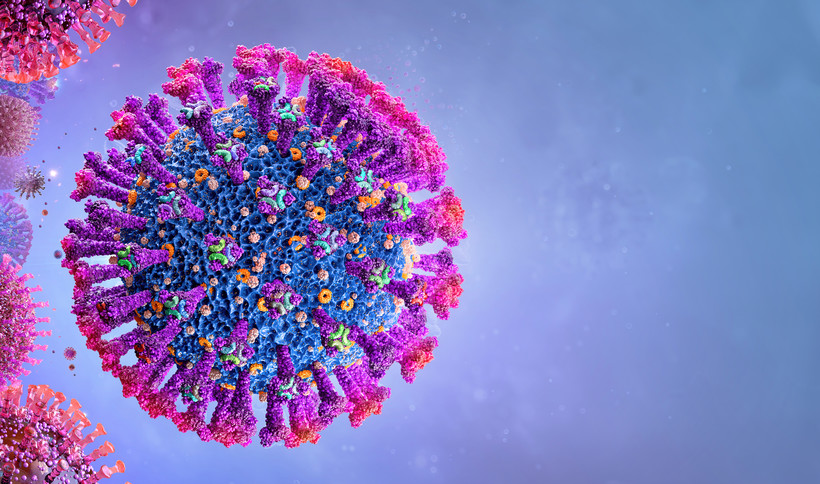 Test Microblot Array wykrywa przeciwciała dla kilku kluczowych antygenów wirusa SARS-CoV-2, dzięki czemu pozwala na identyfikację obu rodzajów odporności w ramach jednego badania.