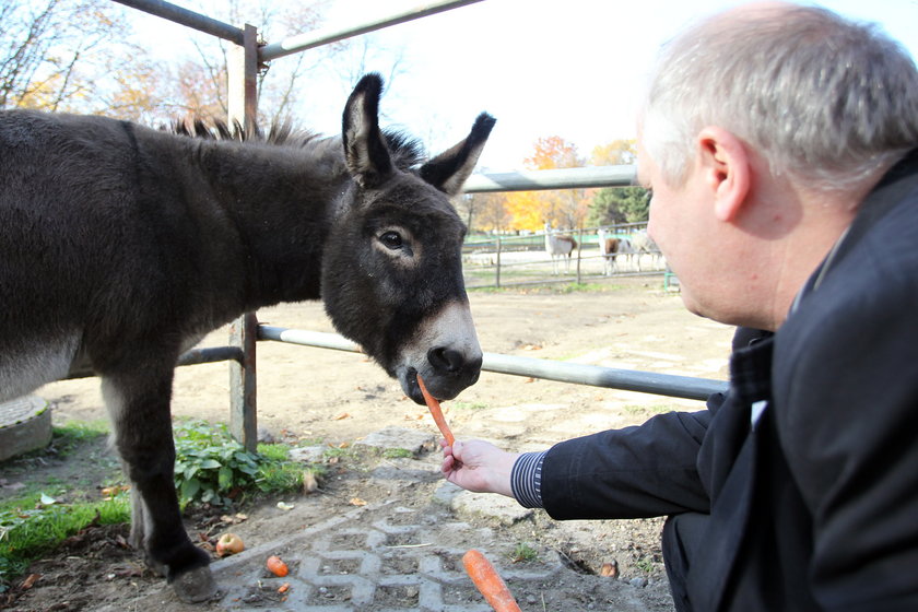 Zoo w Chorzowie