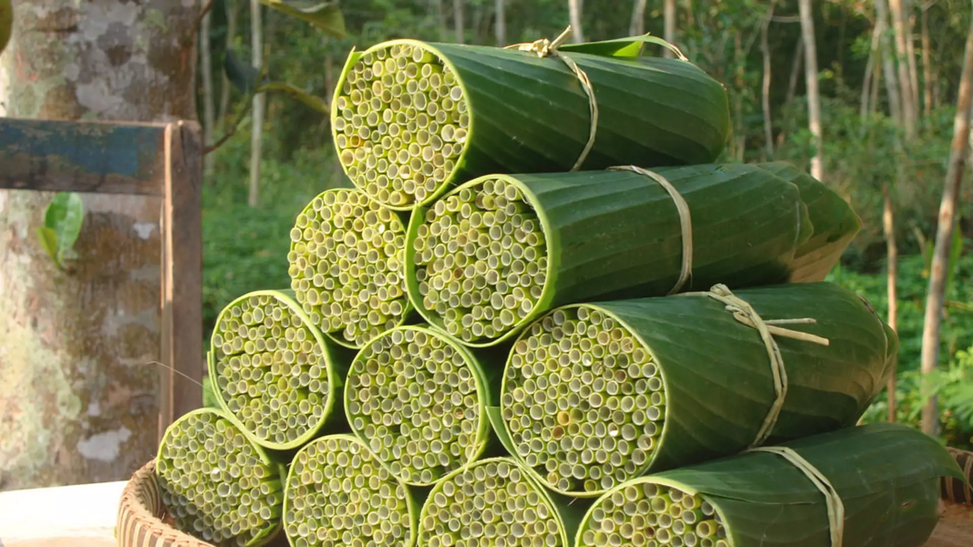 Roślinne słomki z Wietnamu mogą pomóc Azji w walce z plastikiem