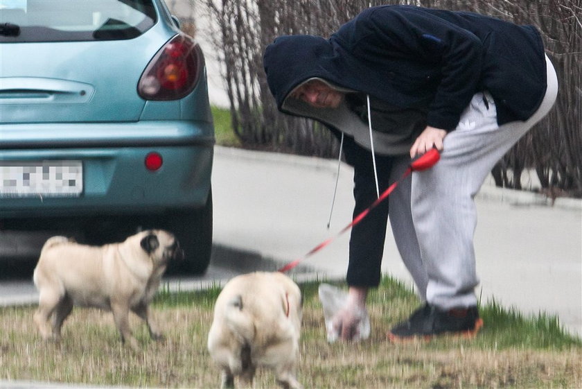Polski aktor świeci przykładem i sprząta po psach. FOTO