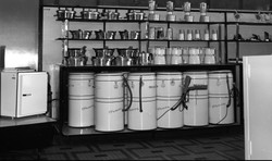 Polki marzyły o "Frani", Łucznik produkował maszyny do szycia i...