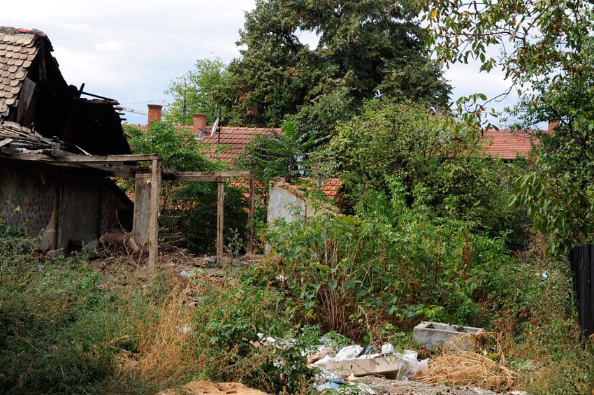 Dvorišta su zarasla u ambroziju i travu