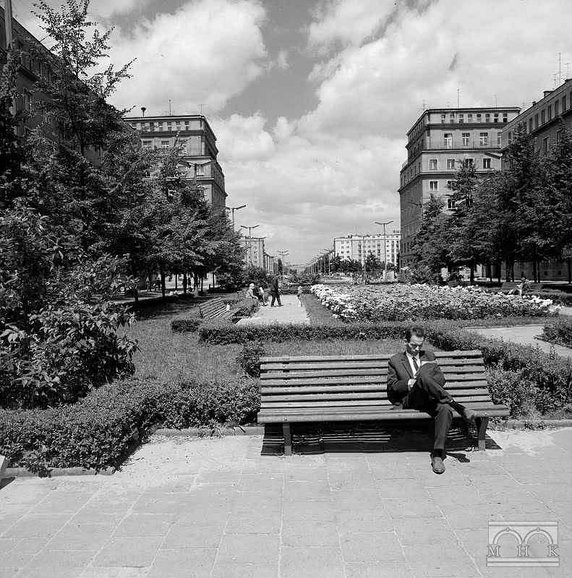 Znika beton, będą róże! Rozpoczęła się przebudowa alei Róż w Krakowie