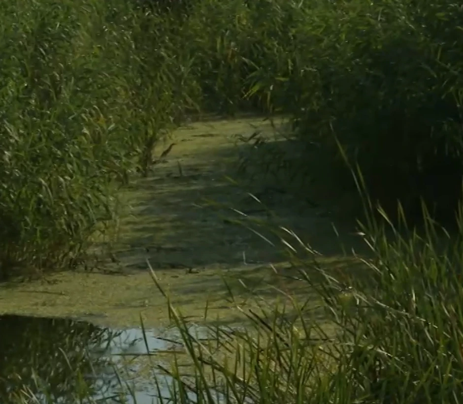 Kanal u kome je pronađeno telo Ruskinje Ljudmile
