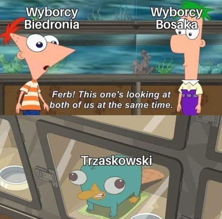 Memy po I turze wyborów prezydenckich 2020