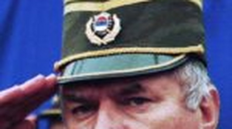 Elfogták Ratko Mladicot