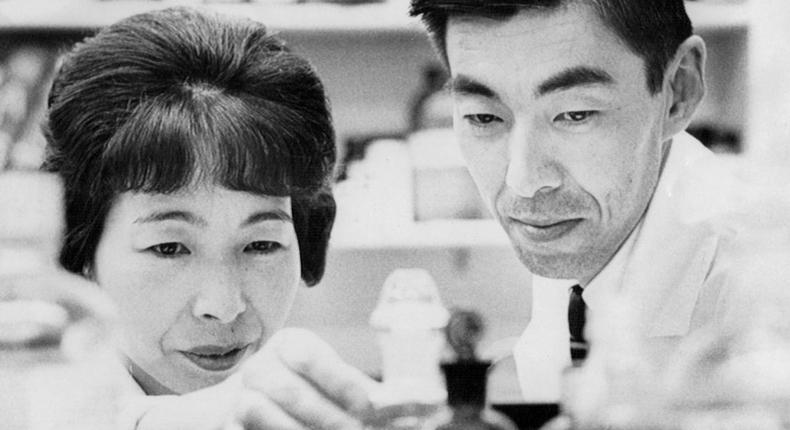 Dr. Teruko Ishizaka, who found a key to allergies treatment, dies at 92