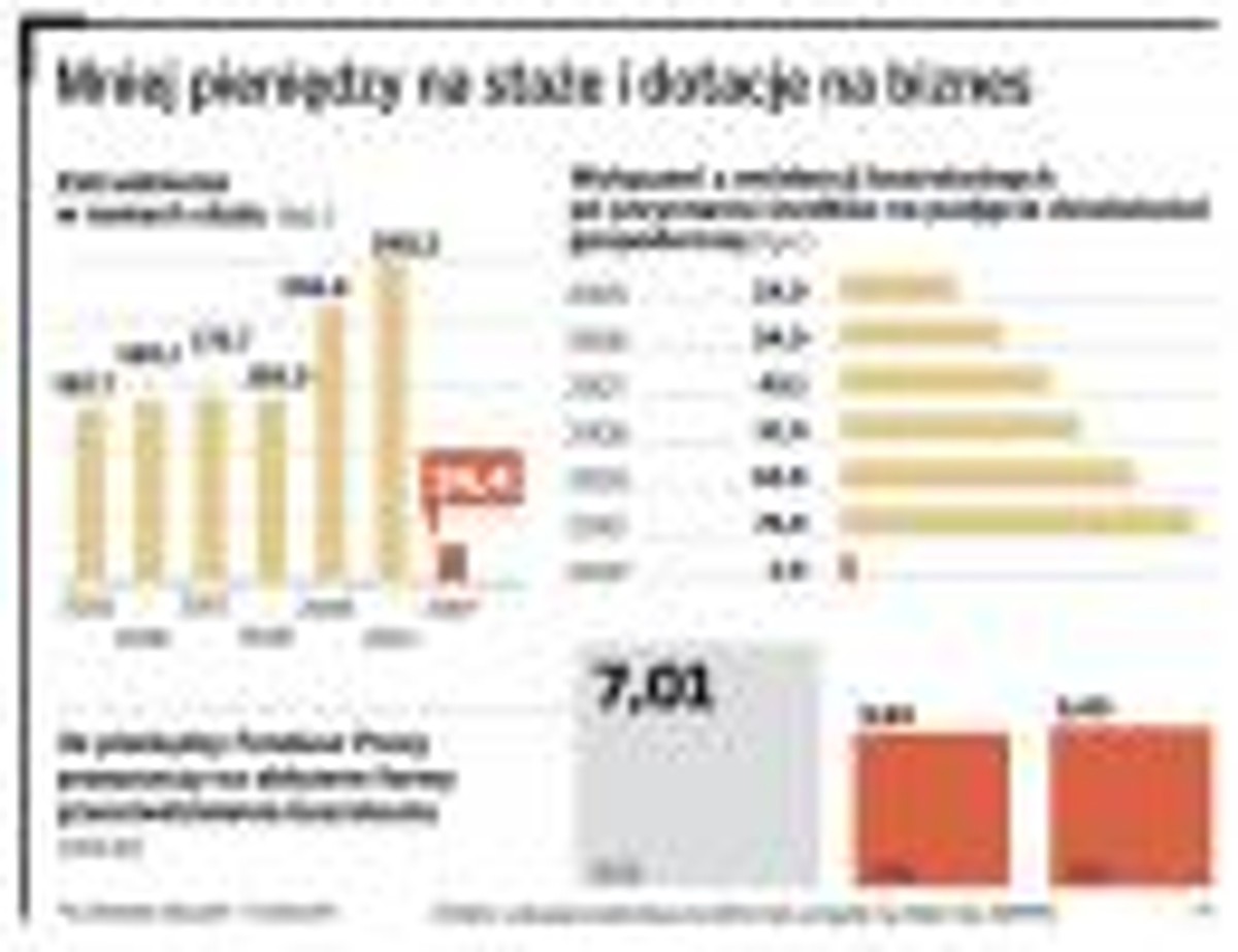 Mniej pieniędzy na staże i dotacje na biznes