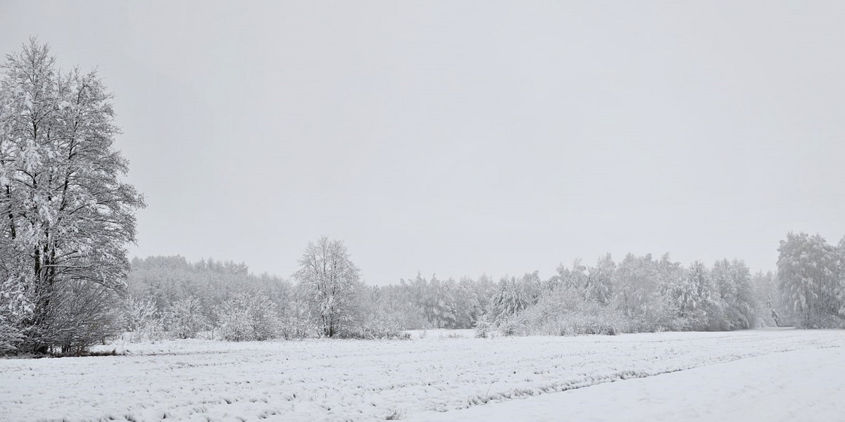 Dzisiaj pokrywa się topi, ale rano na Mazowszu były miejsca, gdzie leżała 8-cm warstwa śniegu.  