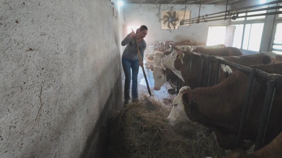 Jelica Pavlović svakodnevno brine o životinjama