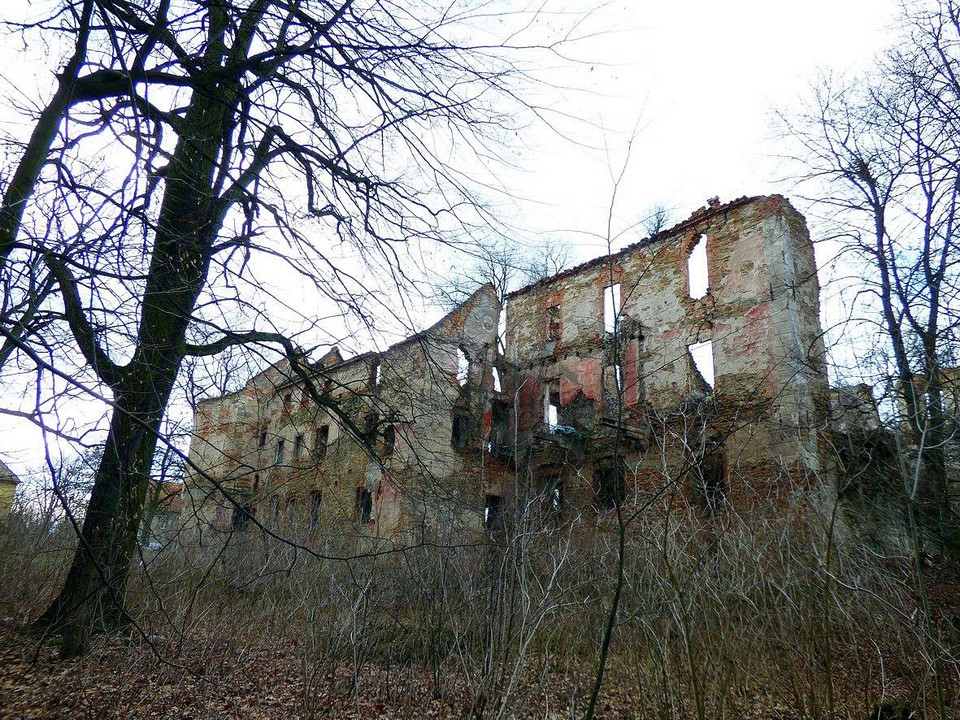 Ruiny Zamku w Pielaszkowicach