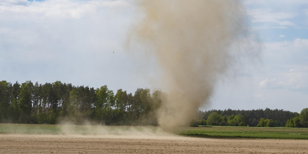 Diabeł pyłowy w Nowogrodzie. Wygląda jak małe tornado.