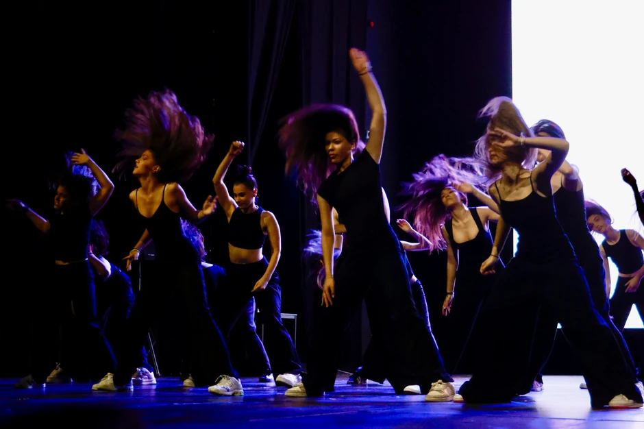 Koncert za Anu Božović