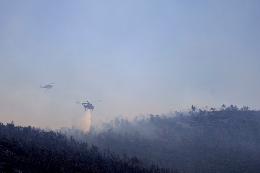 Šumski požar na planini Parnita severozapadno od Atine 29. juna