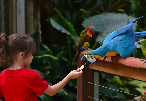 Zoo w Poznaniu ma dość nieodpowiedzialnych rodziców