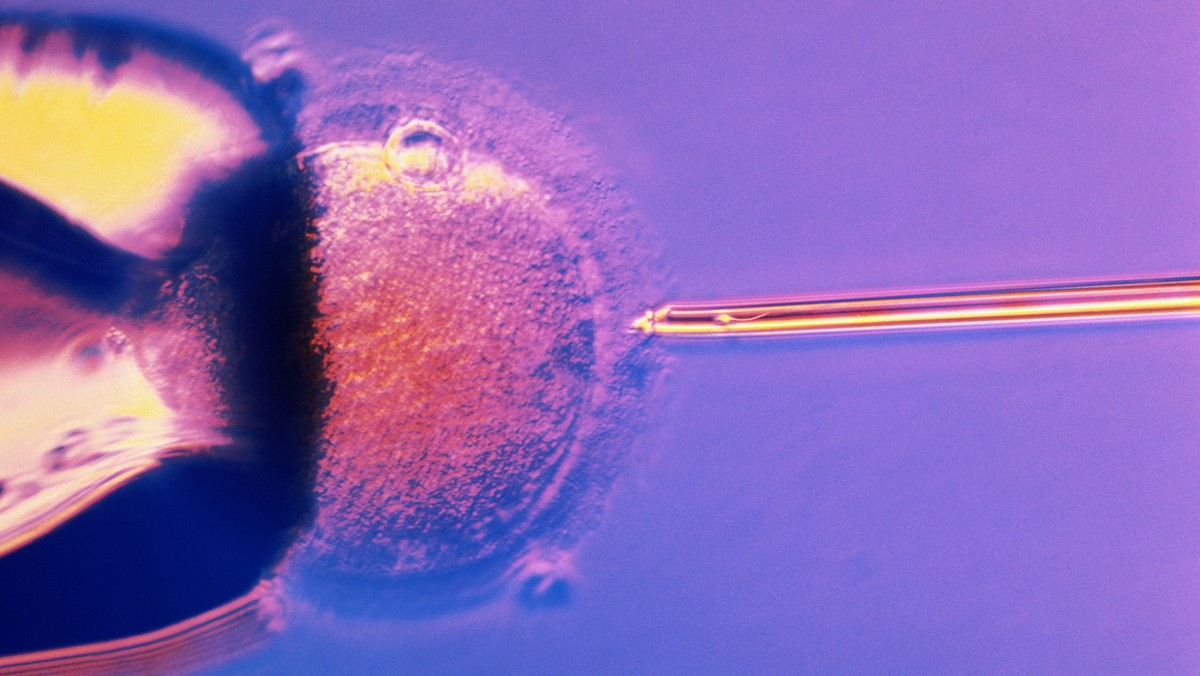 Na prawo regulujące in vitro Polska czeka od 23 lat.