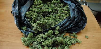 Policja przechwyciła 15 kg marihuany