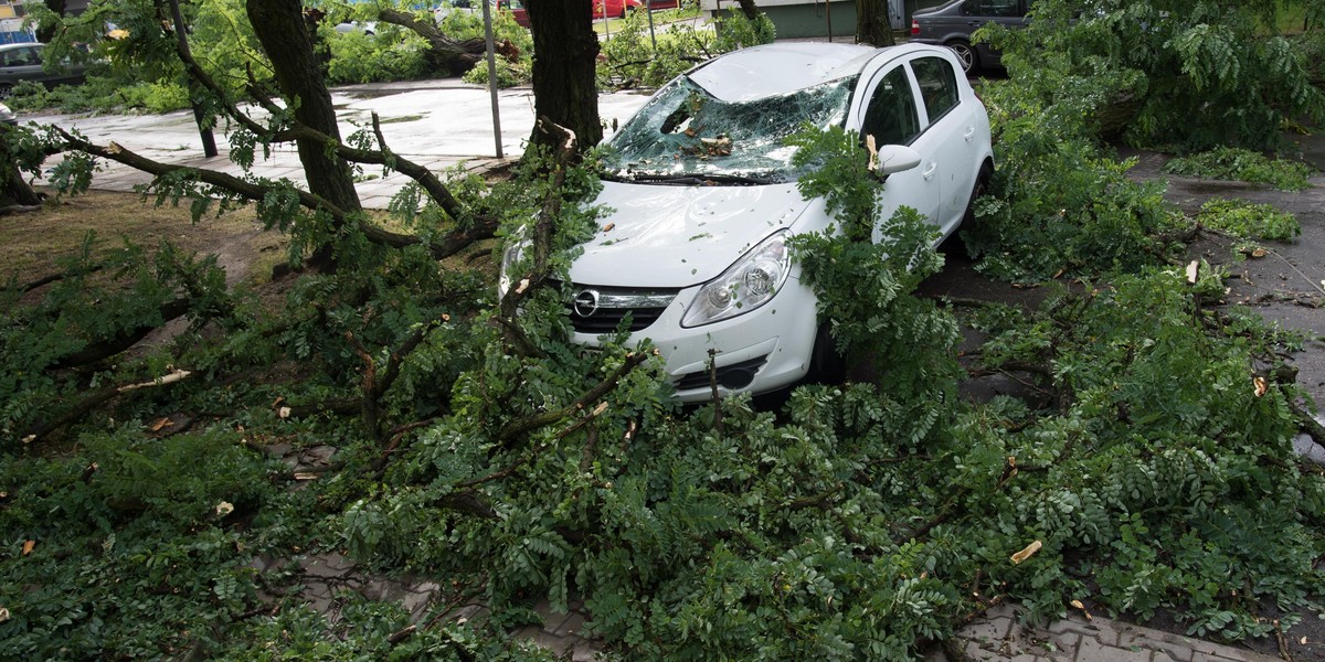 Nawałnica przeszła nad Łodzią i województwem łódzkim. Zobacz zniszczenia 