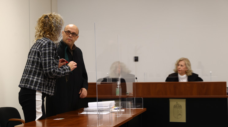 Vajda Beatrix kiakadt a bíróságon, mindenkit elküldött melegebb éghajlatra / Fotó: Czerkl Gábor