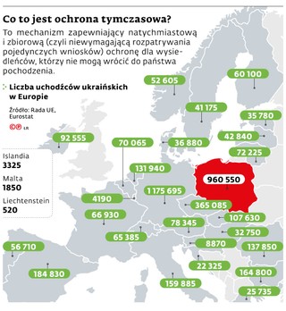 Co to jest ochrona tymczasowa?