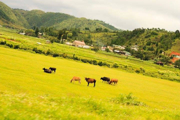 Mawsynram - najbardziej deszczowe miejsce na świecie