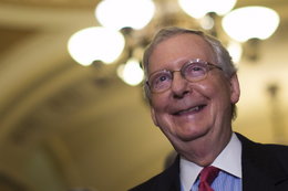 The giant Senate tax bill barely squeaked by a critical test