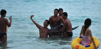 Turyści idioci, zamęczyli delfina!